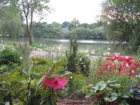 Lake photos at Malvoisine 