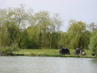 Lake photos at Malvoisine 