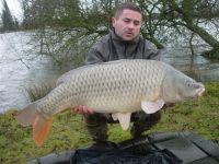 Cyrille common - 27.9lbs