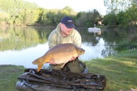 29.10lb