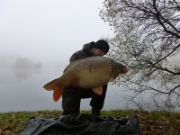 35lb 12oz Common