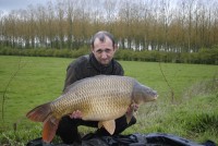 40lb