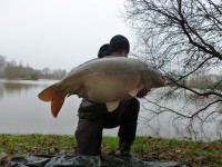 41lb Mirror