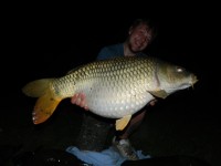 HUW 31lbs