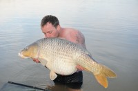 This 54lb common got peckish