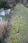 First real visible signs of damage