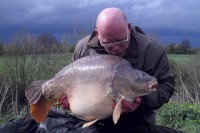 Albie with Big Tail @ 45.03