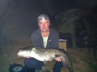 First capture of catfish