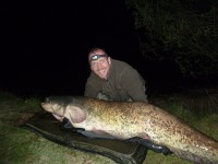 Record catfish... 156 to 175lb estimated.