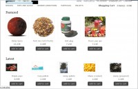 Our online bait shop