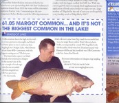  International Carper