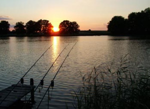 HOW DO YOU CHOOSE A CARP FISHING SWIM