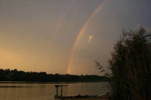 10700773_461897640618304_6499334325890888086_o