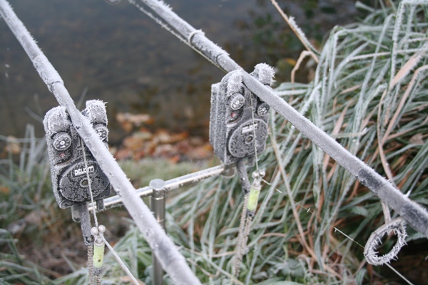 Winter carp fishing – at what temperature do they feed? - Angling Lines  Blog 🎣