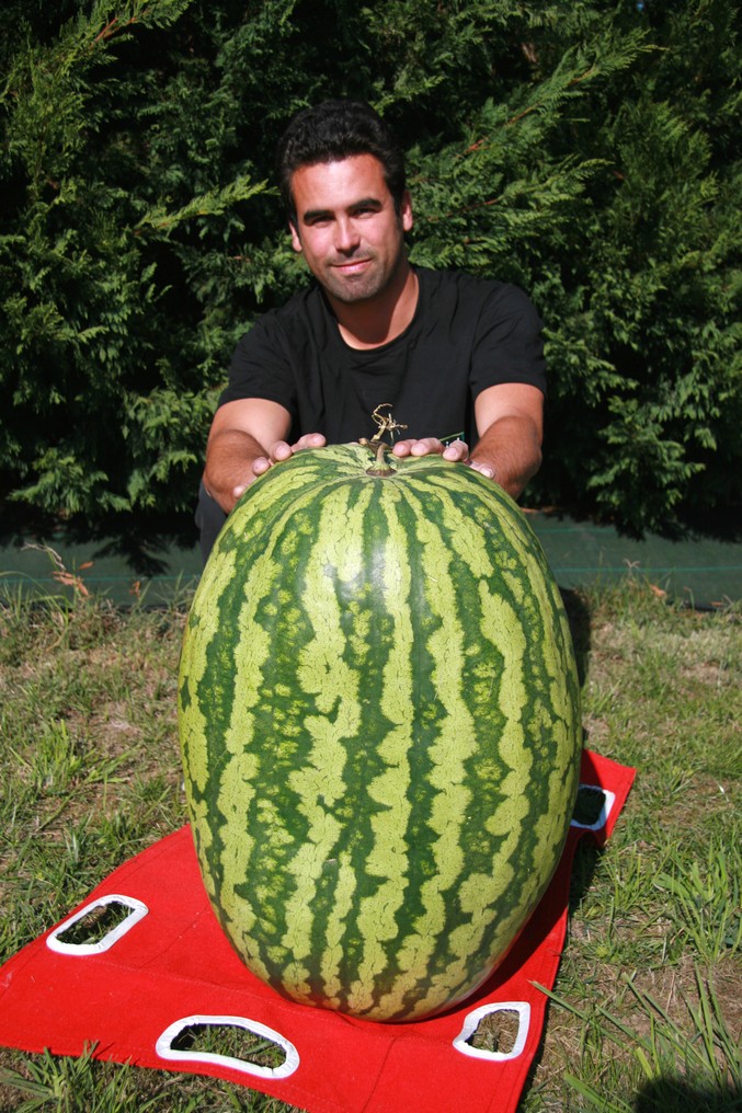 French carping at Old Oaks & Laroussi