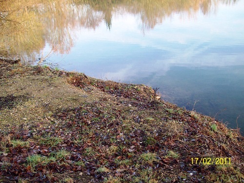 French carp lake Molyneux