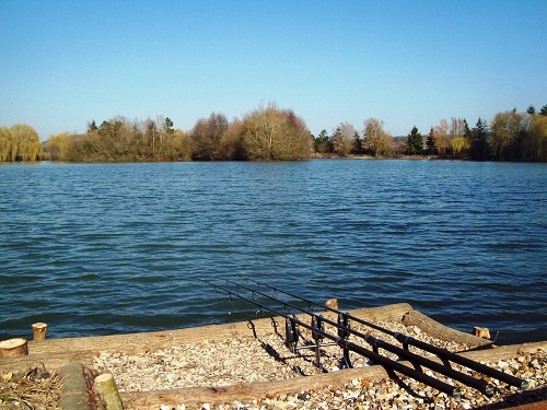 French carp lake Molyneux