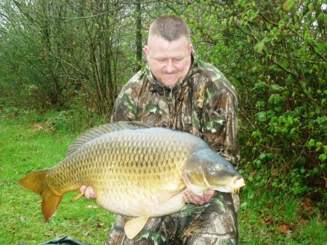 Big common carp