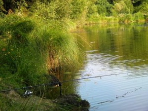 Carp fishing in France