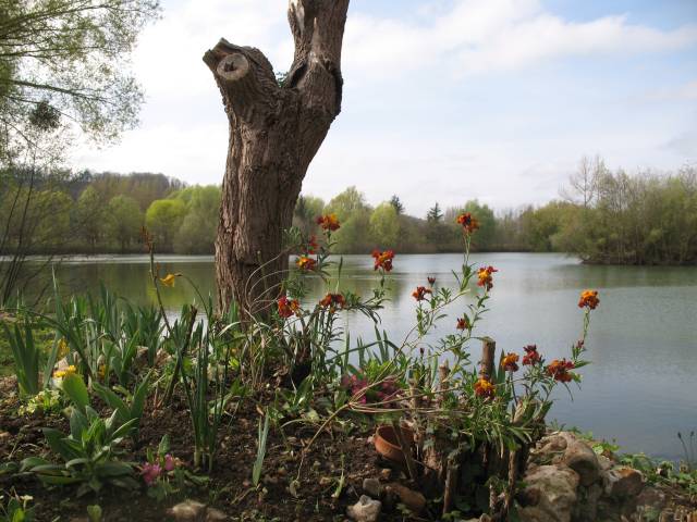 Carp fishing France at Molyneux