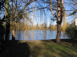 French-Carp-Lake-in-Winter
