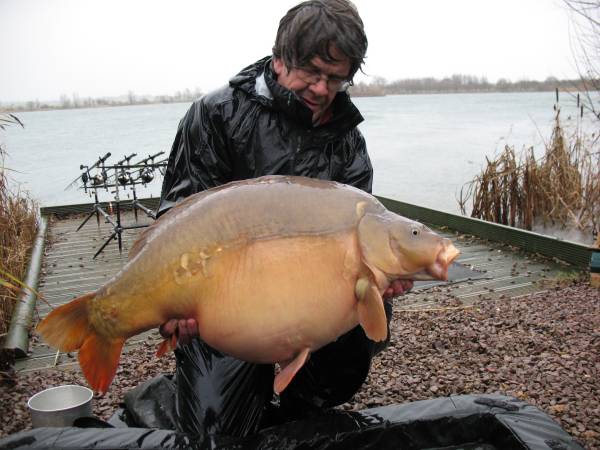 Mirror carp from French Lake