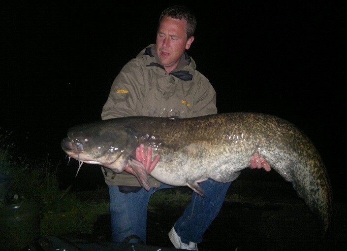 58lb catfish molyneux