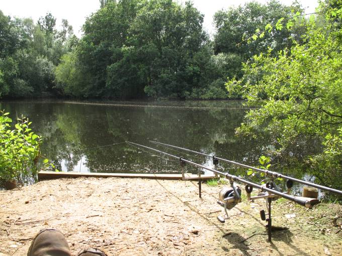 Carp Fishing Rods