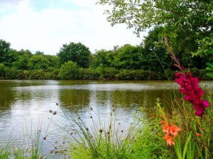 Glehias Fishing in France with Family