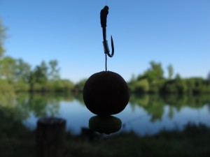 Curved shank's, 15mm baits topped with fake corn