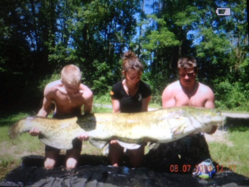 Giant Catfish at Vaumigny Fishing France