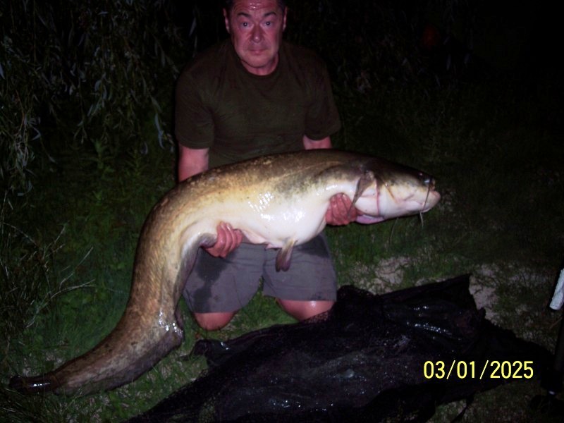 67lb Catfish