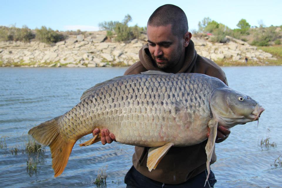 French River Carp Fishing 