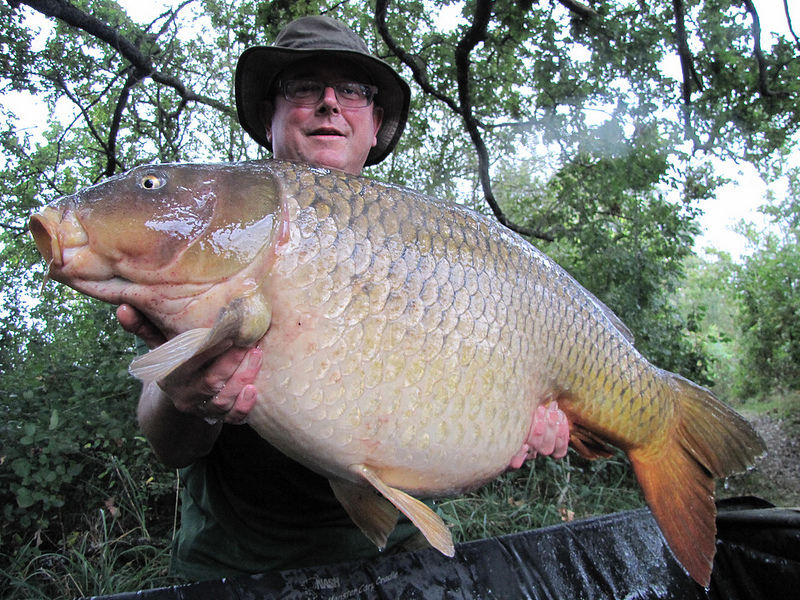 large common carp france
