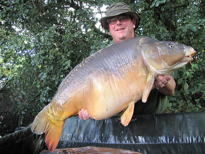 large mirror carp france