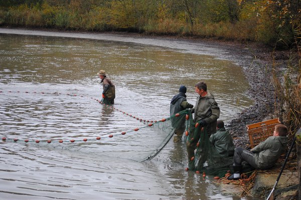 brocard netting a carp lake