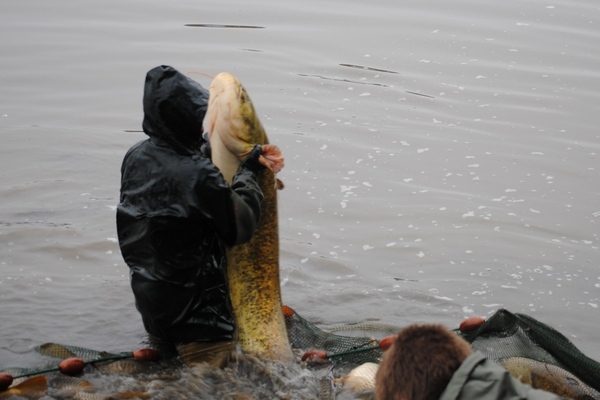 Brocard Carp Fishing in France