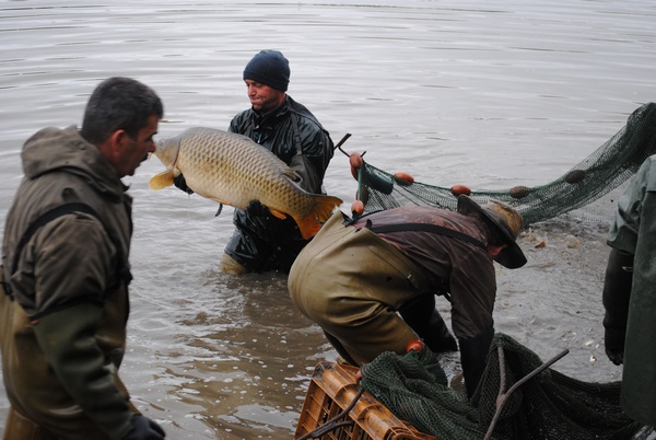 Brocard Carp Fishing in France