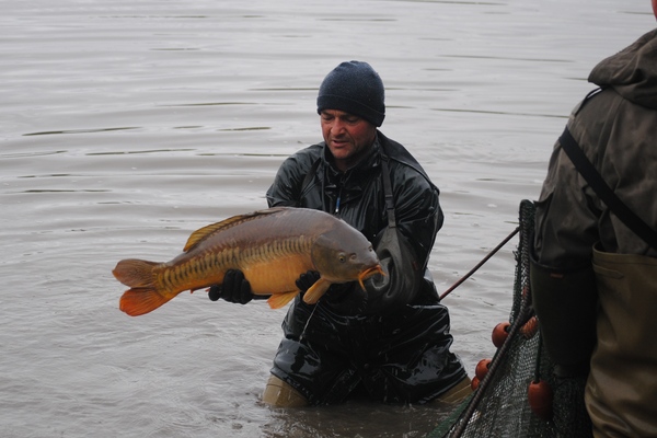 Brocard Carp Fishing in France