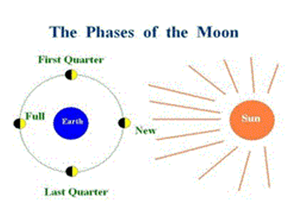 moon phases and carp fishing