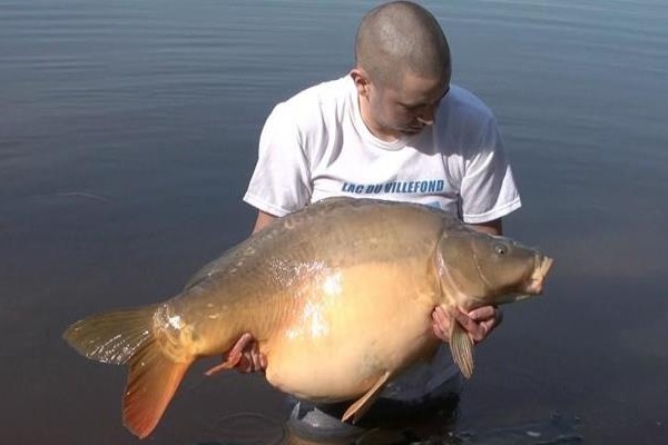 french carp fishing lake