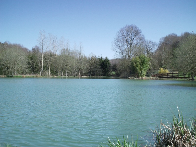 LAKE FOR SALE IN FRANCE