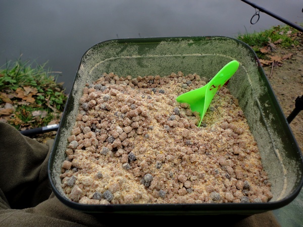 Winter Carp Fishing Blog