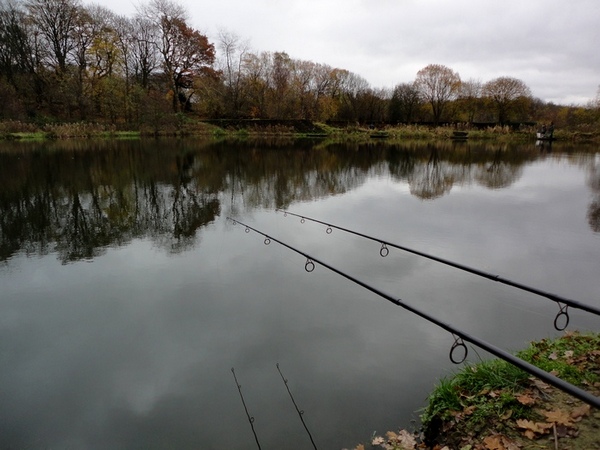 Winter Carp Fishing Blog