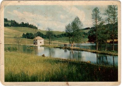 Mas Bas Carp Lake History