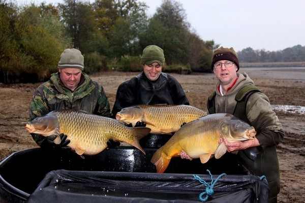 Carp at Castle Lake Carp Lake