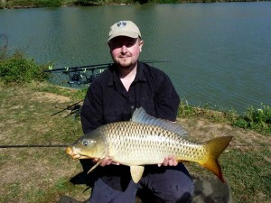 common carp - types of carp