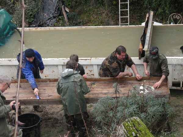 mas bas carp lake with accommodation