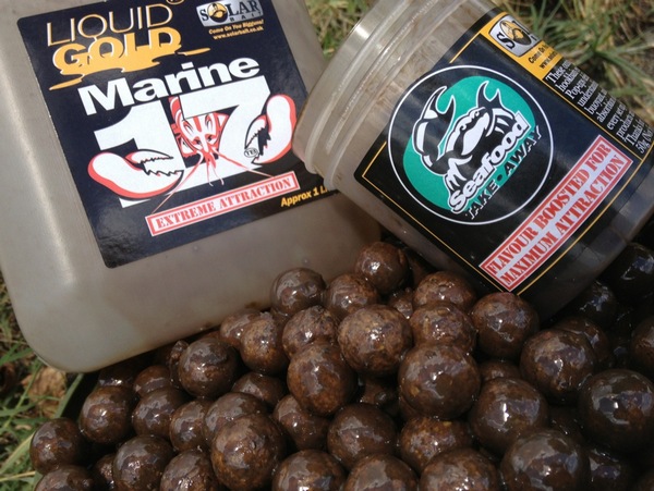 carp bait top tips