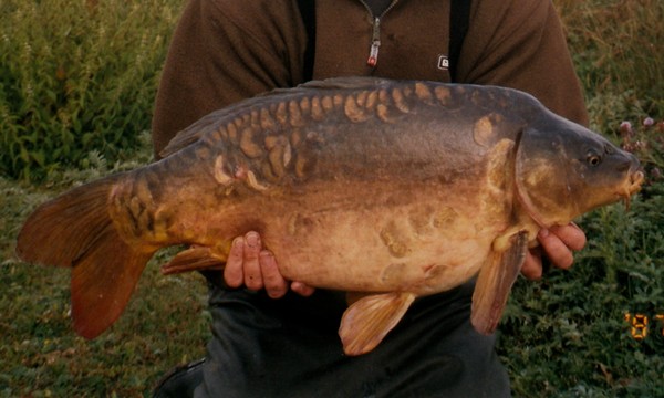 big water carp fishing